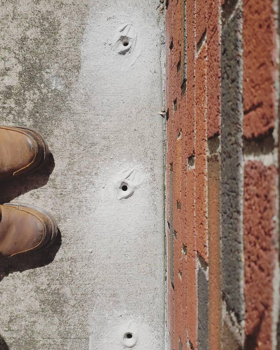 Queanbeyan Pest Control Services business image in Queanbeyan, New South Wales